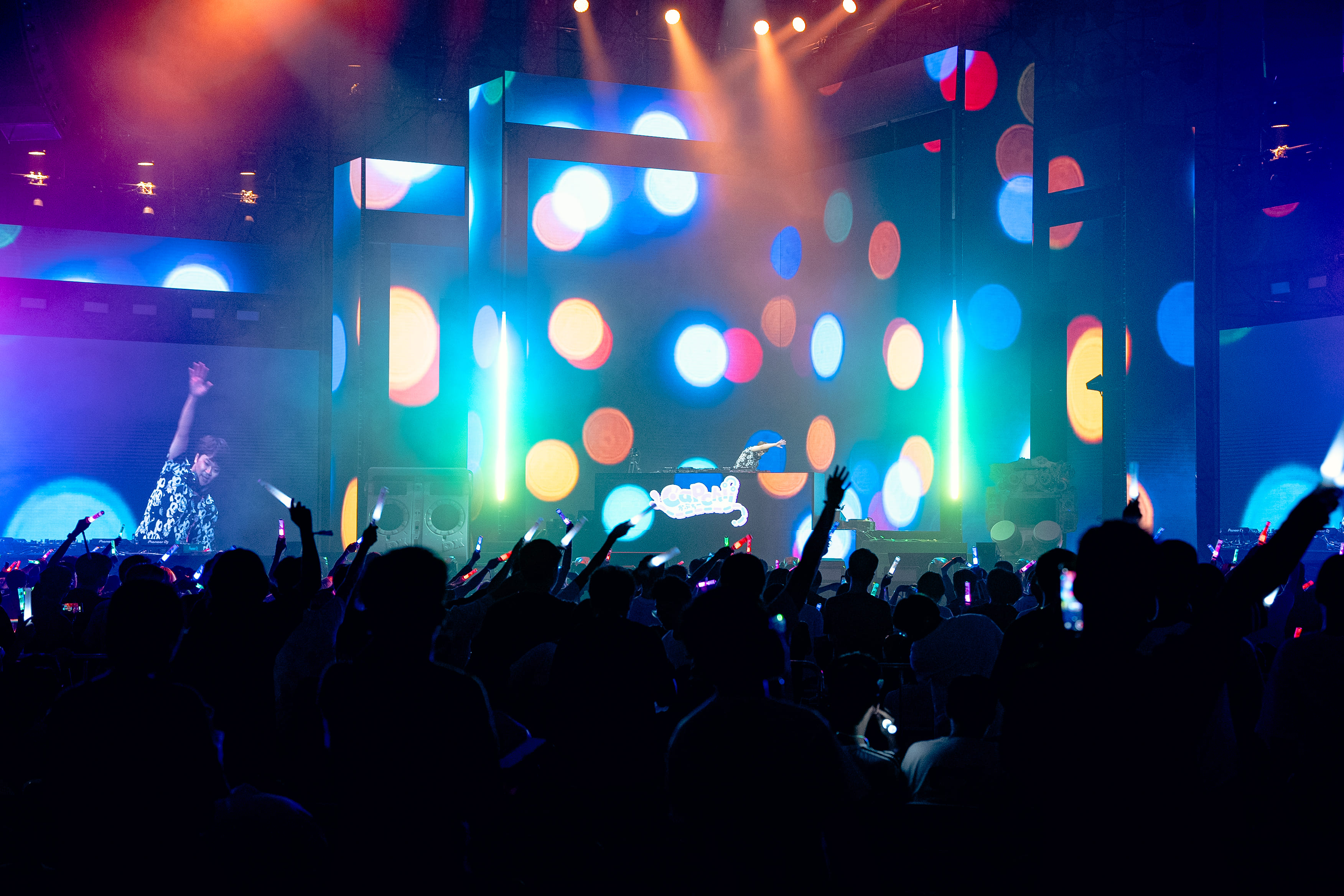 DJ Performance 1